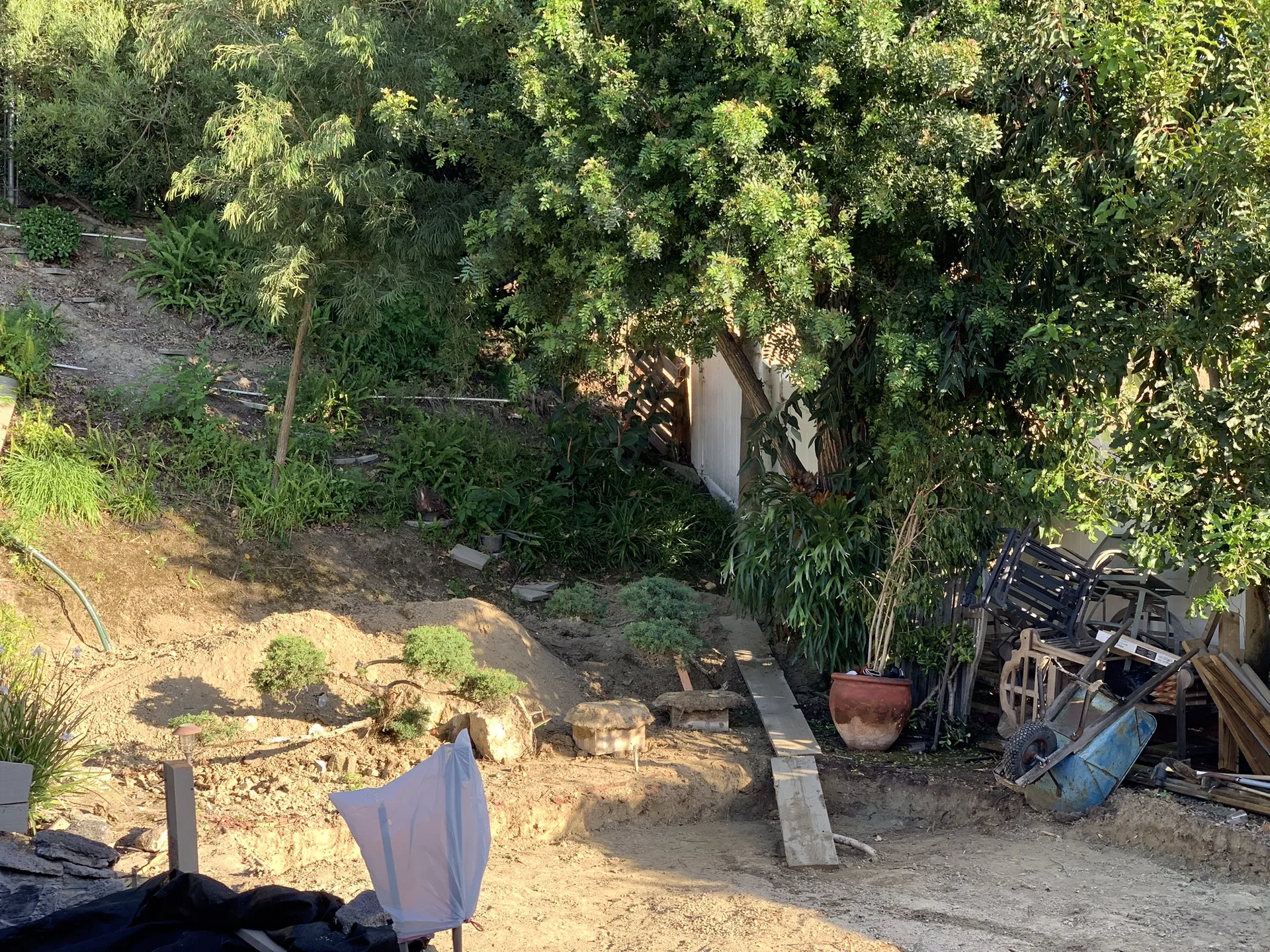 Original backyard hillside before construction